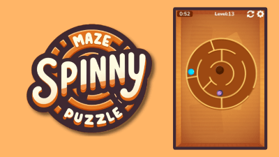 Spinny Maze Puzzle